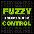 FUZZY CONTROL B-side self selection.jpg