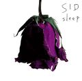 SID - sleep LimB.jpg