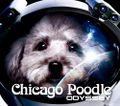 Odyssey Chicago Poodle.jpg