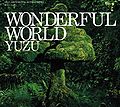 WONDERFUL WORLD limited.jpg