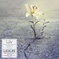 Luck Life - Lily artist.jpg