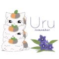 Uru - remember lim.jpg