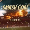 Cheetah - Gol Ttaeryeo.jpg