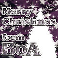 BoA - Merry Christmas.jpg