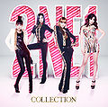 2NE1 - Collection (CD+2DVD+Photobook).jpg