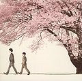 Sakura (Spring Package).jpg