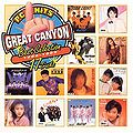 PC Hits Great-Canyon 1986-1989 Best Selection.jpg