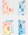 BTS - Hwayang Yeonhwa 2 packaging.jpg