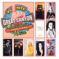 PC Hits Great-Canyon 1994-1998 Best Selection.jpg