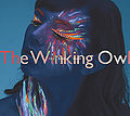 The Winking Owl - Into Another World.jpg