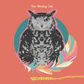 The Winking Owl - Thanks Love Letter.jpg