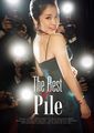 Pile - The Best Of Pile (Limited Edition A (CD+Blu-ray+Photobook)).jpg