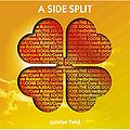 A side split vol4 sunshinefield.jpg