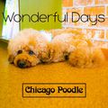 Chicago Poodle Wonderful Days.jpg