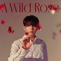 Ryeowook - A Wild Rose digital.jpg