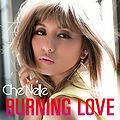 Burning Love by Che'Nelle.jpg