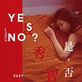 Suzy - Yes No.jpg