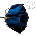 SID - sleep Reg.jpg