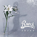 ROACH - Lilia.jpg