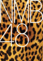 NMB48 Logo.png