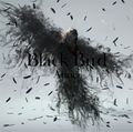 Aimer - Black Bird／Tiny Dancers／Omoide wa Kirei de (Limited CD+DVD Edition).jpg