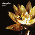 Angelo - Design Reg.jpg