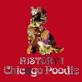 Chicago Poodle History I Reg.jpg