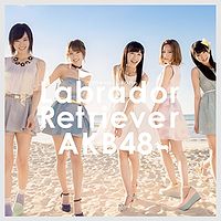 AKB48-Labrador Retriever Regular Type A.jpg