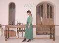 Fujita Maiko - wish CD+DVD.jpg