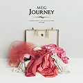 MEG Journey Limited.jpg