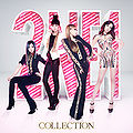 2NE1 - Collection (CD+DVD).jpg