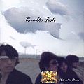 Rumble Fish - Have A Nice Dream.jpg