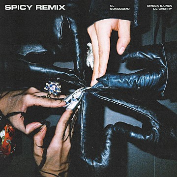 File:CL - SPICY (Remix).jpg