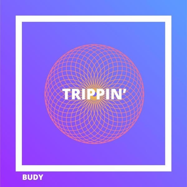 File:BUDY - Trippin'.jpg
