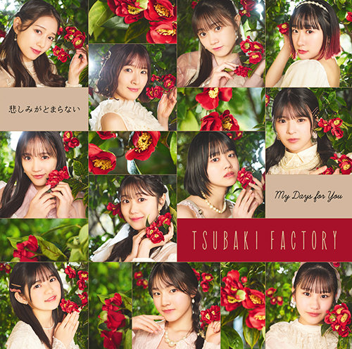 File:Tsubaki Factory - My Days for You lim SP.jpg