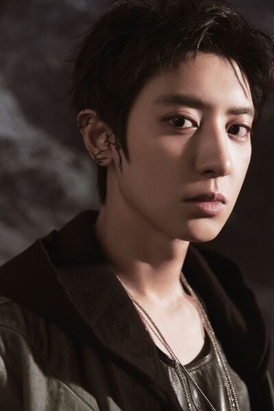 File:Chanyeol - REVERXE promo.jpg