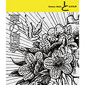 Thumbnail for version as of 20:16, 19 October 2014