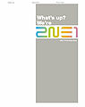 2NE1 - Whats Up Were 2NE1.jpg