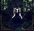 Horie Yui - Asymmetry LTD.jpg