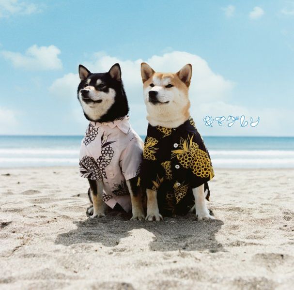 File:Kimaguren - Remember.jpg