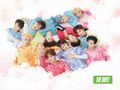 THE BOYZ - THE START (Set).jpg