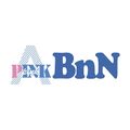 Apink BnN logo.jpg