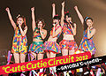 C-ute - Cutie Circuit 2012 DVD.jpg