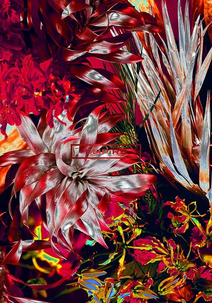 File:EMPiRE - HON-NO lim.jpg