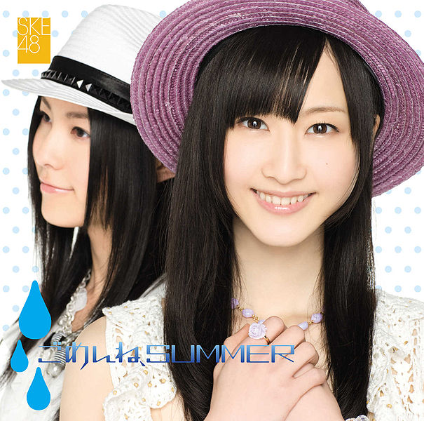 File:Newslargeske483rdsgtypeB.jpg