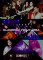 BLACKPINK - BLACKPINK IN YOUR AREA CD+PHOTOBOOK.jpg