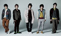 ARASHI - Lotus promo.jpg