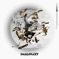 MIYAVI - Imaginary reg.jpg