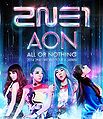2NE1 ALL OR NOTHING in JAPAN Blu-ray.jpg