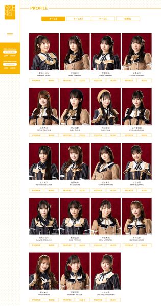 File:SKE48 Team S 2023.jpeg